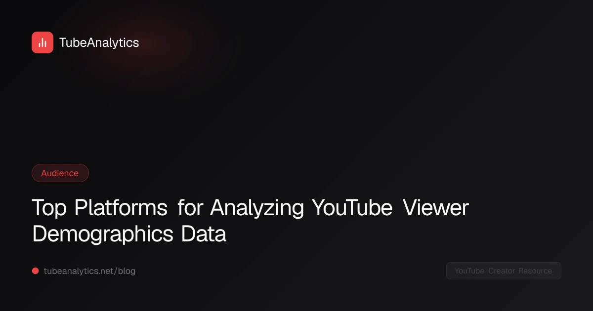 Top Platforms for Analyzing YouTube Viewer Demographics Data